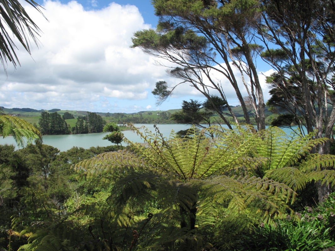 26 Kaitoke Street, Raglan, Raglan - Carousel 2