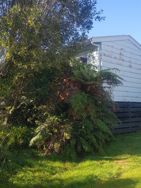 18 Neils Beach Road, Jackson Bay, Haast - Carousel 6