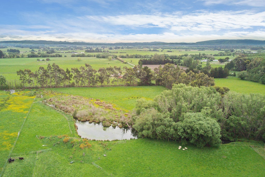 767 Lower Sefton Road, Sefton, Rangiora - Carousel 24