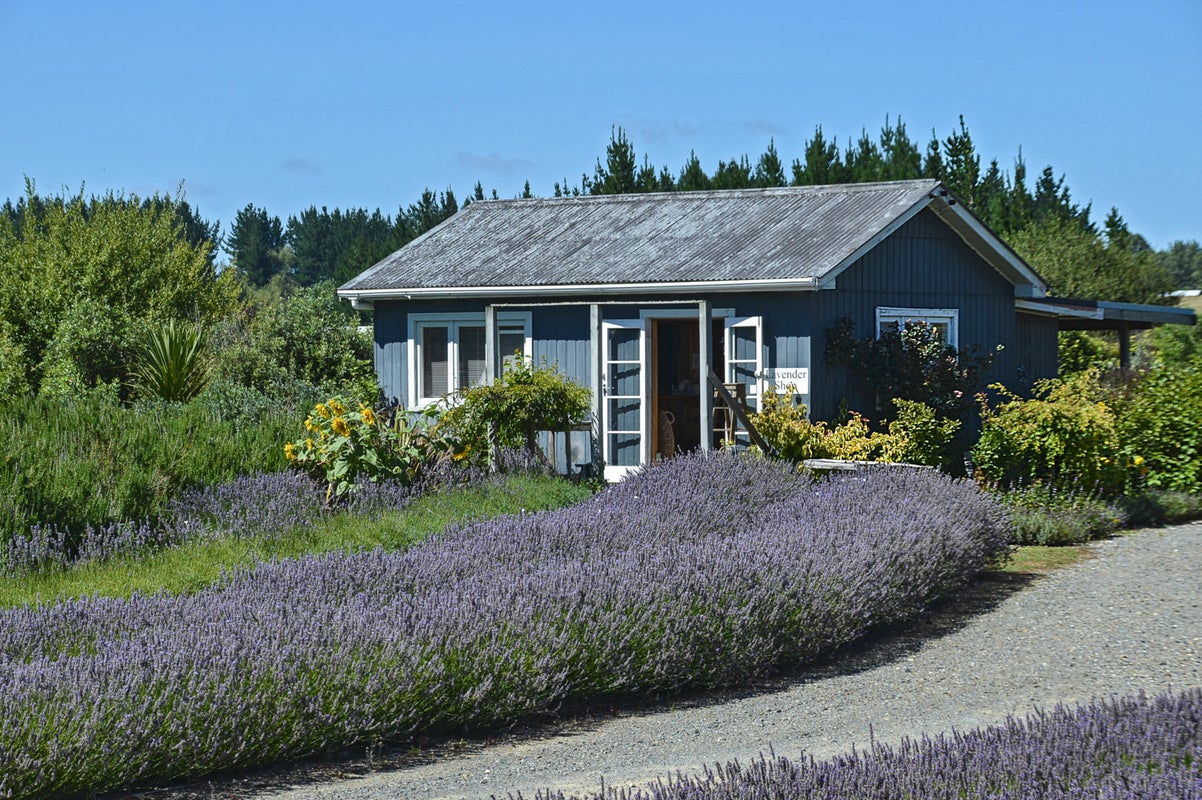 554 Apirana Road, Horohoro, Rotorua - Carousel 2