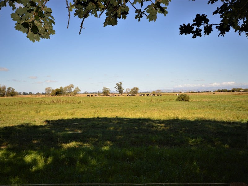 783 Waitohi Temuka Road, Waitohi - Carousel 25