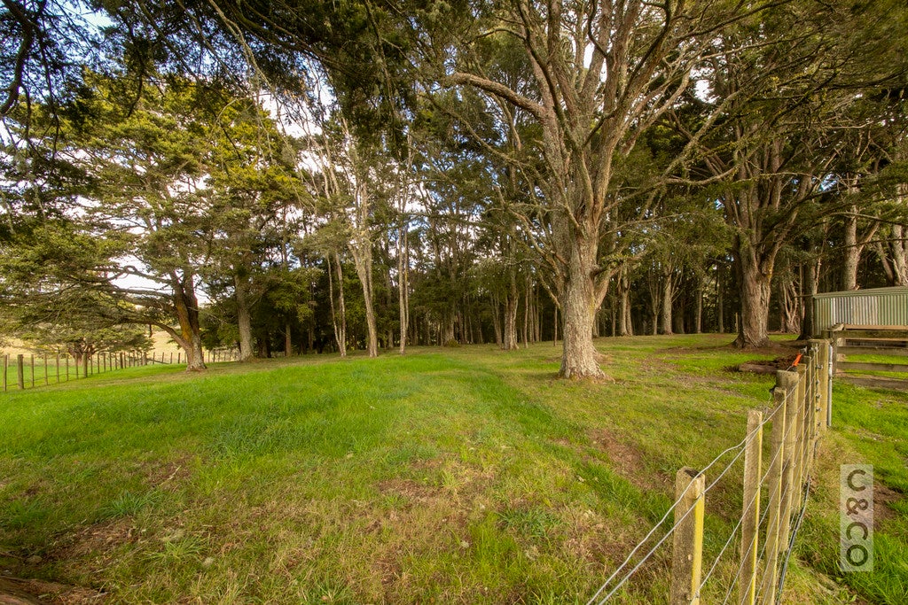 202 Rapson Road, Kaukapakapa, Kaukapakapa - Carousel 26