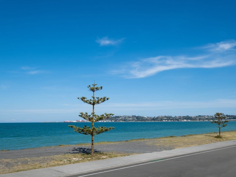 99 The Esplanade, Westshore, Napier - Carousel 25