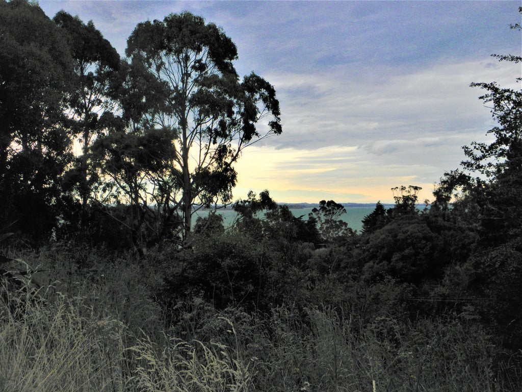 14 Tenby Street, Palmerston - Carousel 2