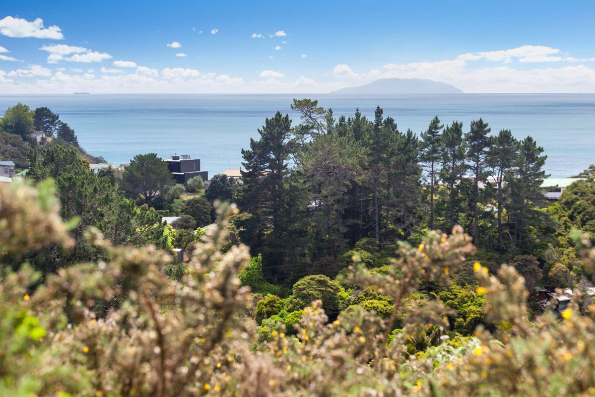 56 Trig Hill Road, Onetangi, Waiheke Island - Carousel 2