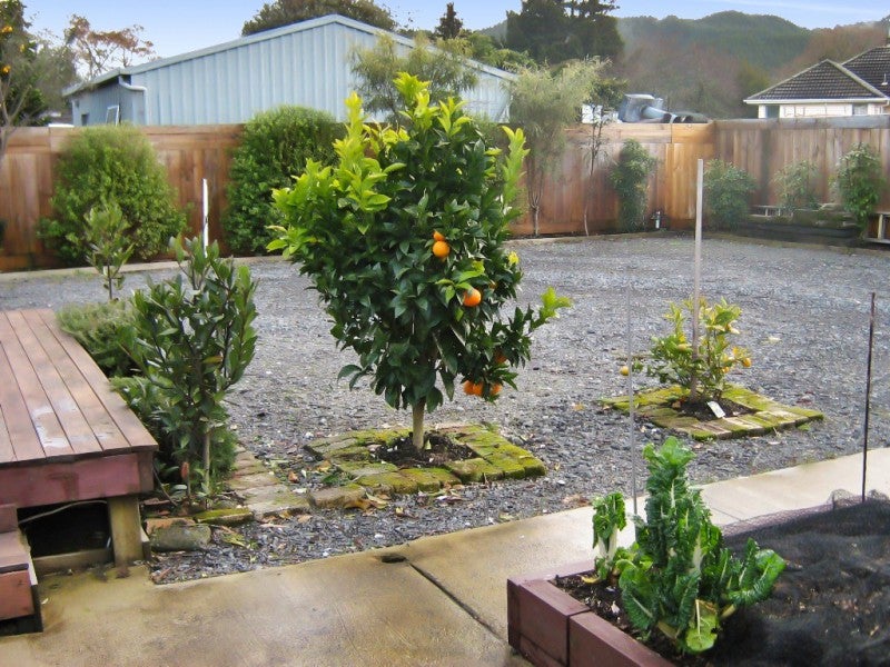 92 Ngatai Street, Taumarunui - Carousel 4