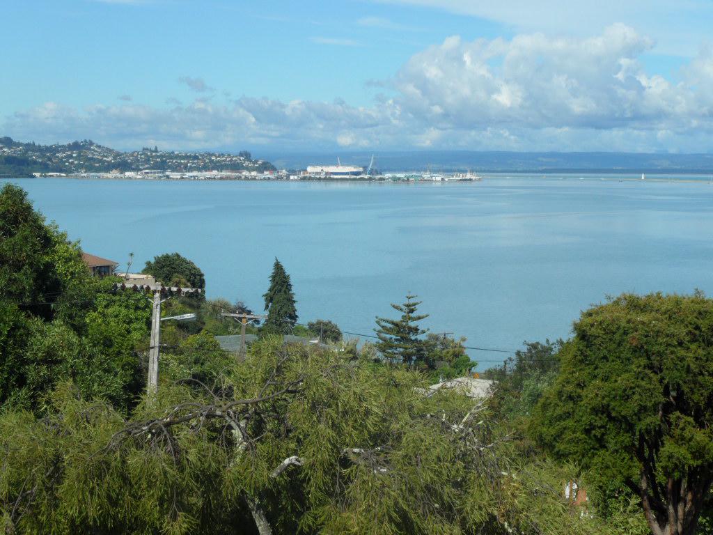 21A Tui Glen Road, Atawhai, Nelson - Carousel 1