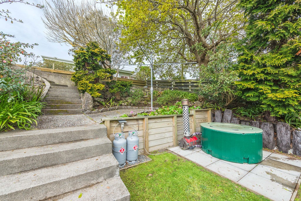 6B Bristow Street, Saint Johns Hill, Whanganui - Carousel 21