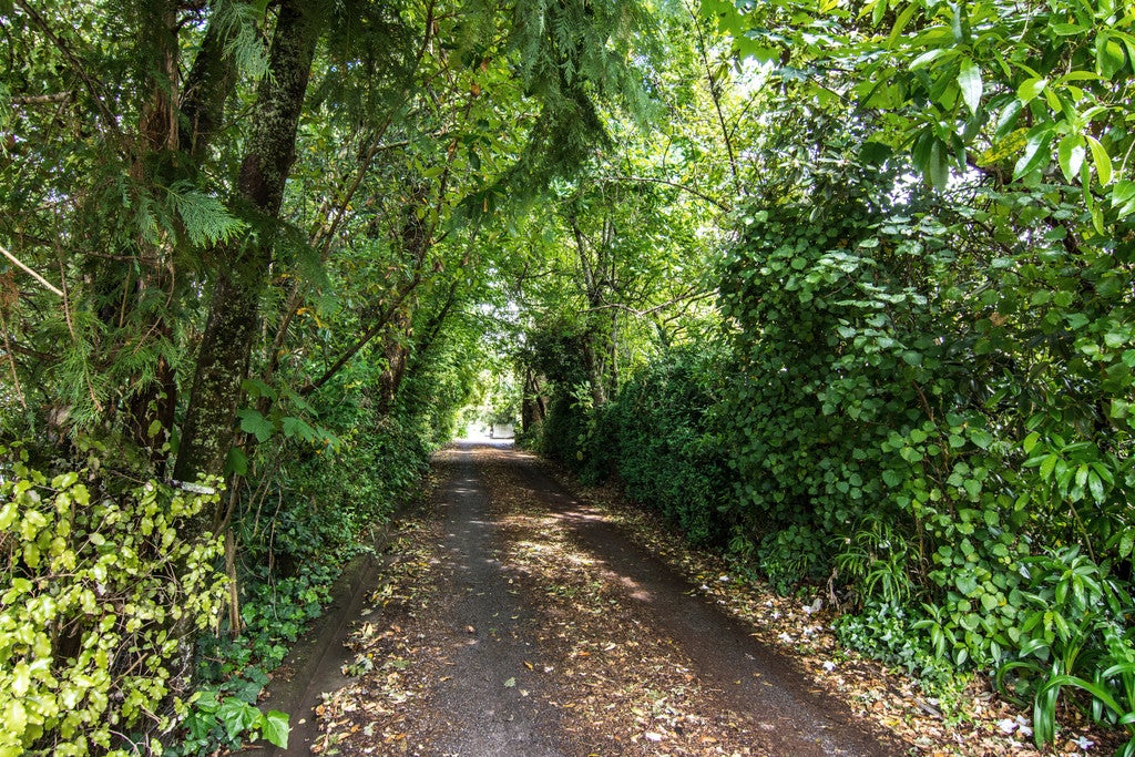 19B Titoki Street, Lansdowne, Masterton - Carousel 11