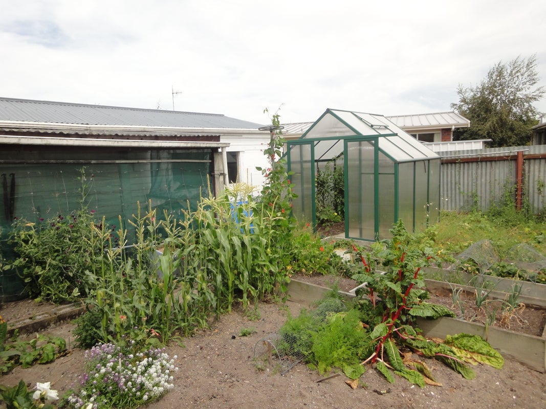 50 Lindsay Street, Marchwiel, Timaru - Carousel 15