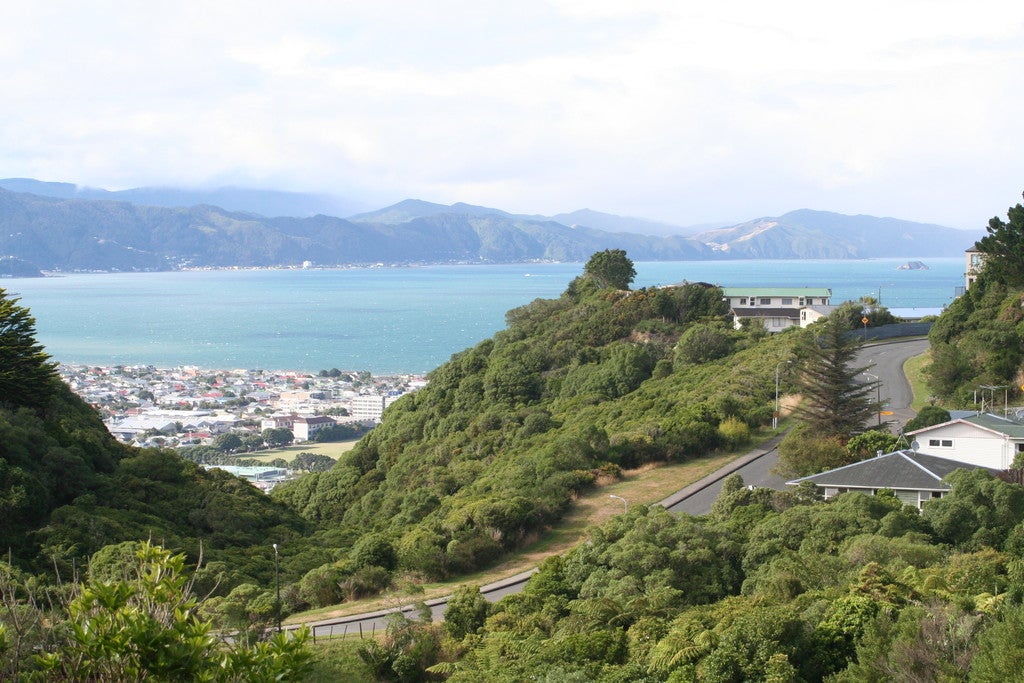 9 Clematis Grove, Maungaraki, Lower Hutt - Carousel 1