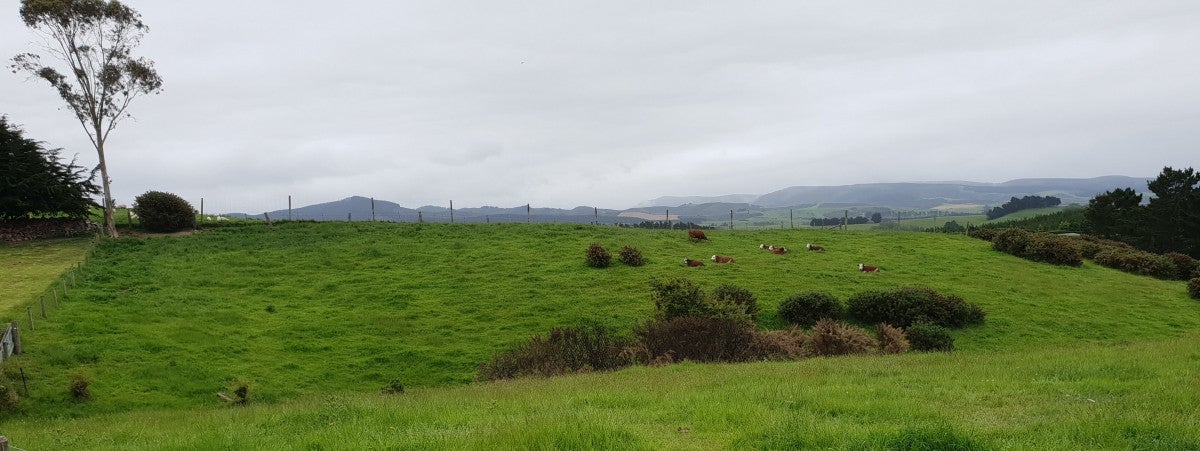 12/14 Coronation Street, Moeraki - Carousel 1