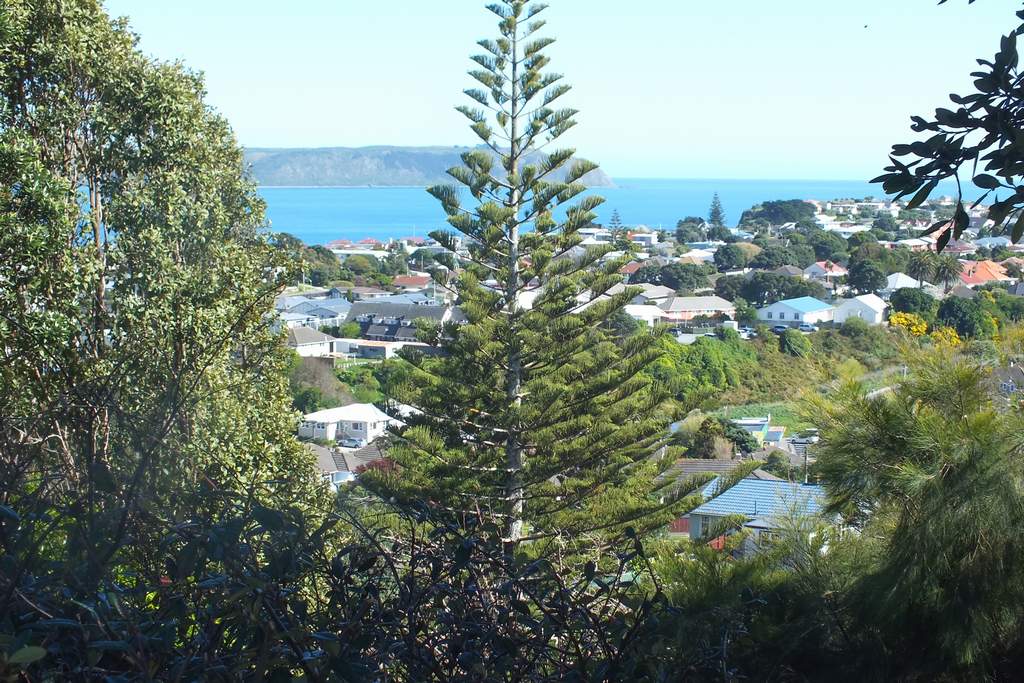 21 Spur Grove, Titahi Bay, Porirua - Carousel 1