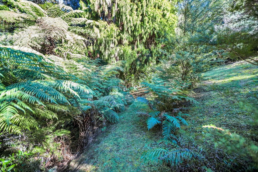 7 Kensington Heights Rise, Kensington, Whangarei - Carousel 20