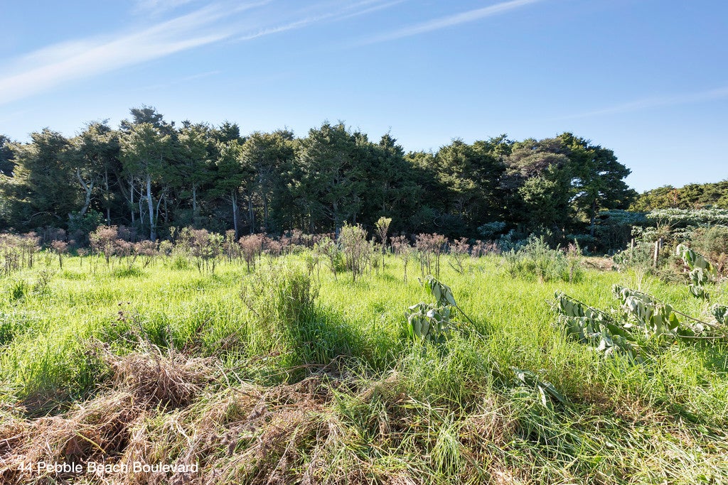 52 Pebble Beach Boulevard, Kamo, Whangarei - Carousel 17