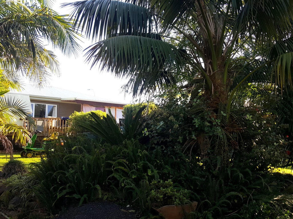 94 Takahe Road, Ahipara, Kaitaia - Carousel 2