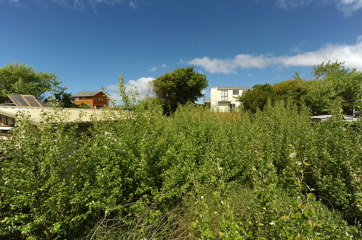 9 Cygnet Street, North New Brighton, Christchurch - Carousel 6