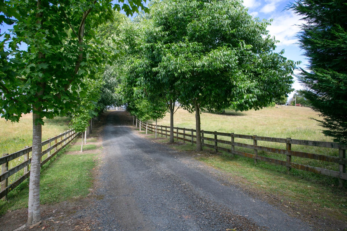 34 Swallow Lane, Tamahere - Carousel 1
