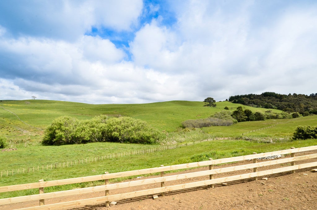 0 Caton Road, Waitakere, Henderson - Carousel 2
