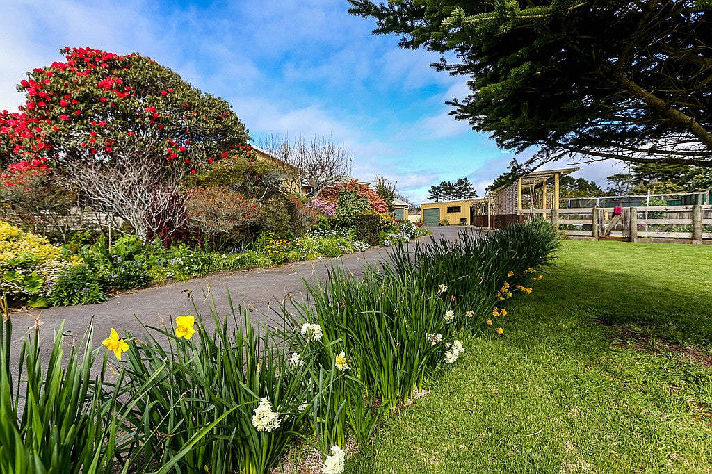210 Smart Road, Hillsborough, New Plymouth - Carousel 2