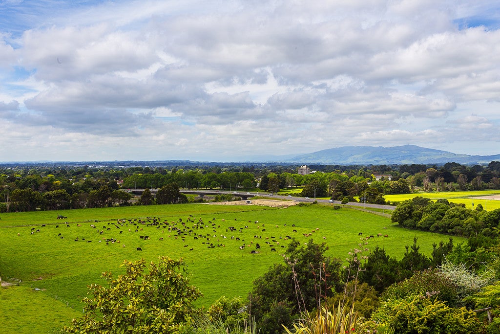 116 Clifton Terrace, Fitzherbert, Palmerston North - Carousel 2