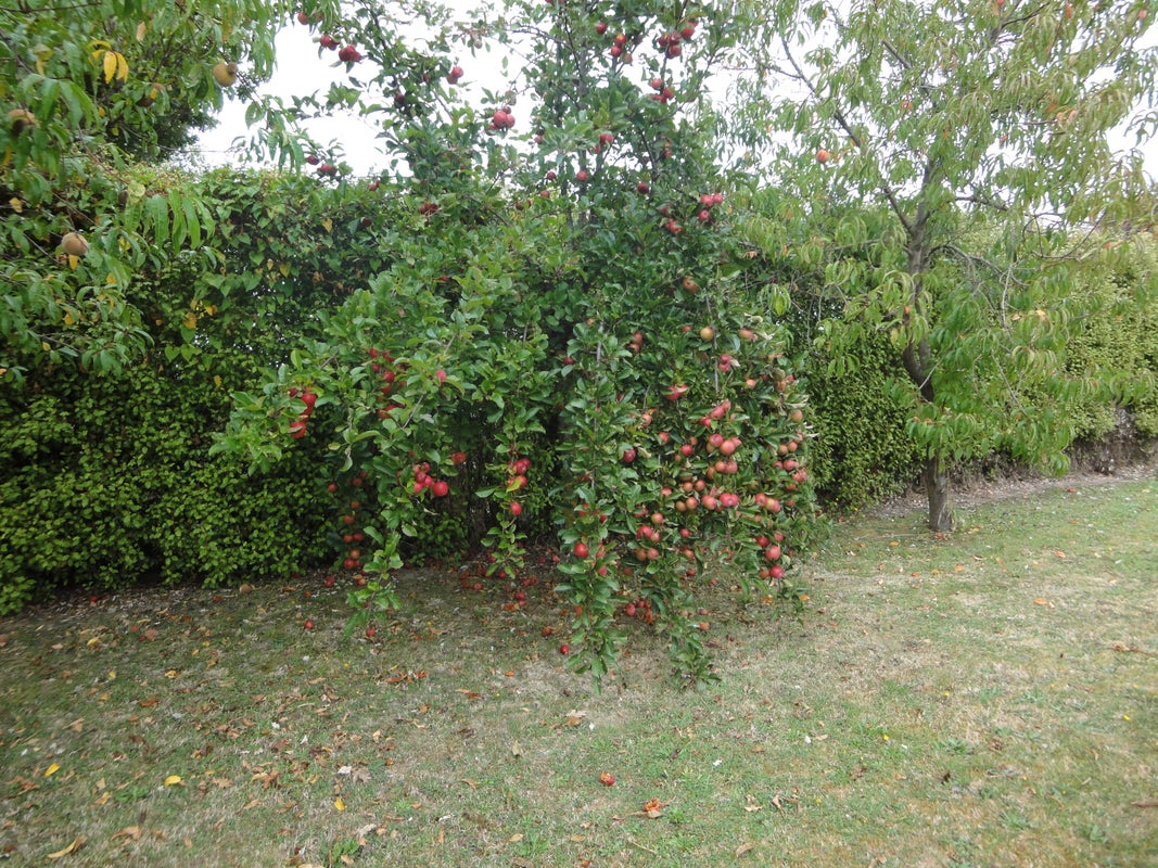 34 Andrew Street, Marchwiel, Timaru - Carousel 15