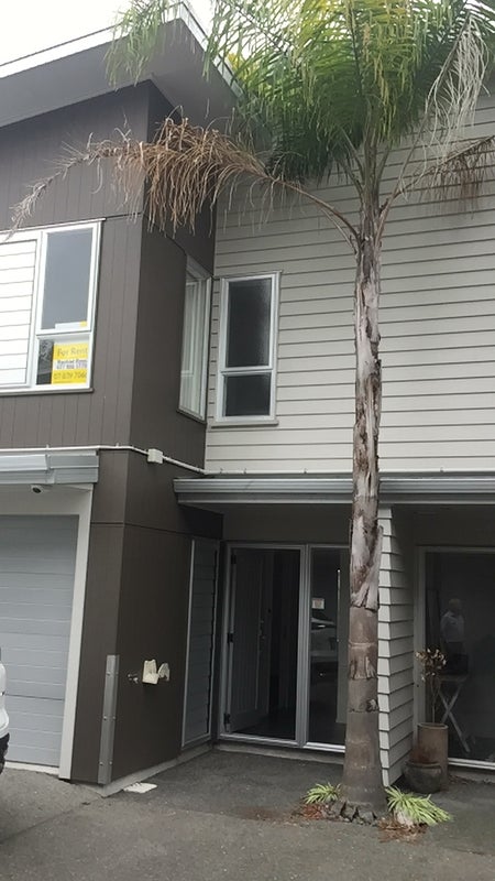 1H Charlemont Street, Whitiora, Hamilton - Carousel 13