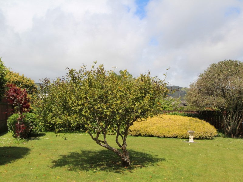 4 Fitzwilliam Terrace, Tawa, Wellington - Carousel 2