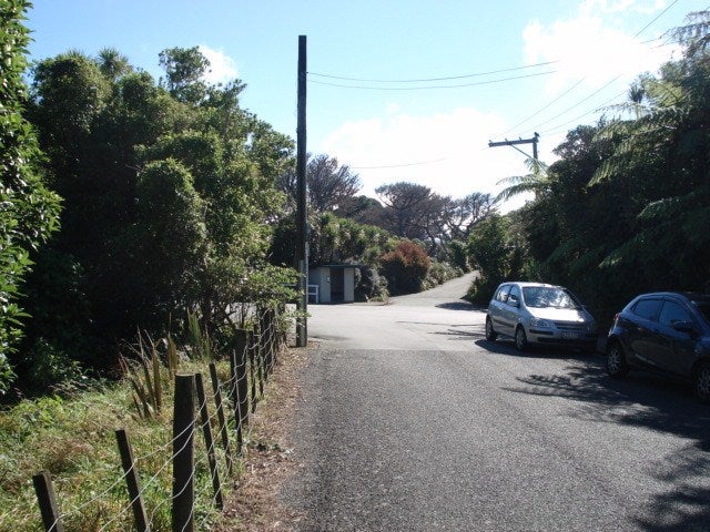 49 Highbury Road, Highbury, Wellington - Carousel 17