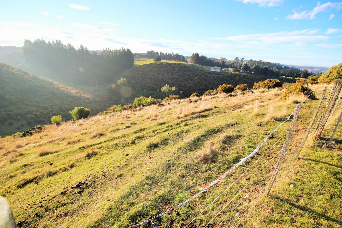 16 Bedford Street, Oamaru North, Oamaru - Carousel 2
