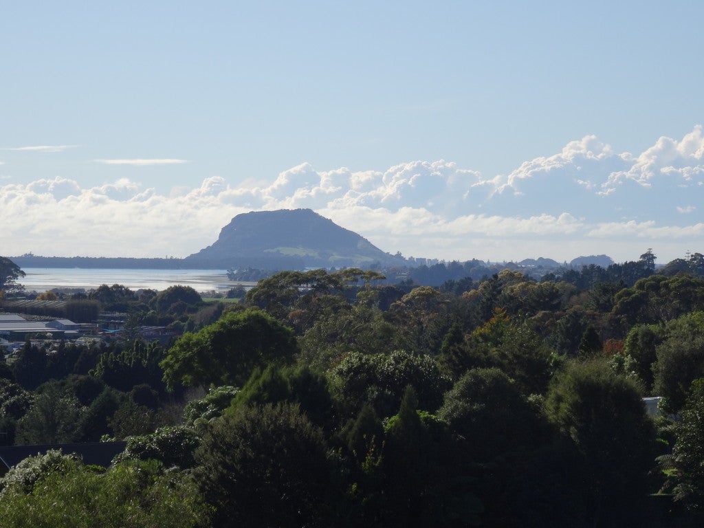140C Minden Road, Minden, Tauranga - Carousel 4