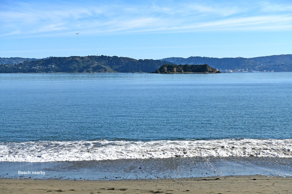 25 Hinau Street, Eastbourne, Lower Hutt - Carousel 20