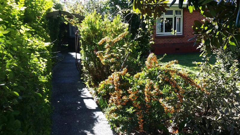 4 Farmar Street, Mayfield, Blenheim - Carousel 1