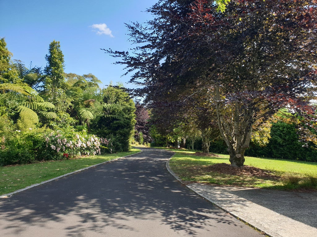 493 Omanawa Road, Omanawa, Tauranga - Carousel 2