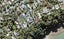 102 Cliff Drive, GREEN BAY, AUCKLAND - Carousel 1