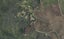 2348 West Coast Road, Panguru, Kohukohu - Carousel 1
