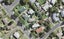 17 Border Road, Henderson, Auckland - Carousel 1
