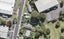 13 Kahika Road, Birkdale, Auckland - Carousel 1