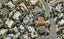 42 Unsworth Drive, Unsworth Heights, Auckland - Carousel 1