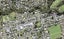 61 Godley Road, Green Bay, Auckland - Carousel 1
