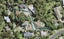 82A Wirihana Road, Titirangi, Auckland - Carousel 1