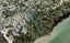 192C Cliff View Drive, Green Bay, Auckland - Carousel 1