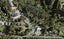 426 REDOUBT RD, Totara Park, Auckland - Carousel 1