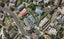 22 Kenneth Small Place, Remuera, Auckland - Carousel 1