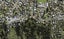 366C Hillsborough Road, Hillsborough, Auckland - Carousel 1