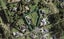 29 Everlea Place, Alfriston, Auckland - Carousel 1