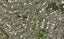 42 Three Mile Bush Road, Kamo, Whangarei - Carousel 1