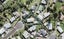 6 Dolan Place, New Lynn, Auckland - Carousel 1