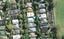 34 Islington Street, Ponsonby, Auckland - Carousel 1