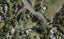 5 Polo Prince Drive, Manurewa - Carousel 1